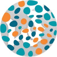 Anna Lindh Foundation NL logo - Similar company to Casa Rosa