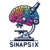 SinapSix logo - Similar company to Sinapsix C.A.