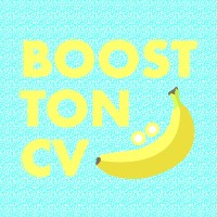 BOOST TON CV logo - Similar company to American Institute For English Proficiency (Aiepro)