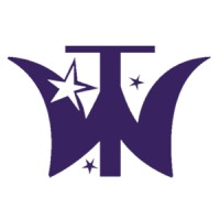 Tech Wizard Solutions logo - Similar company to Vlogfied