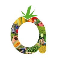 Farminiz Semillas y Plantulas SAS logo - Similar company to Semillas Robóticas