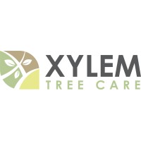 Xylem Tree Care logo - Similar company to Mosh Studio