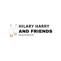Hilary Harry and Friends Wildlife Rescue logo - Similar company to Thc Homes -Modular Sustainable Housing, Lodges & Cabins For A Greener Tomorrow