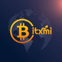 Bitxmi logo - Similar company to D'Ledgers Consultants