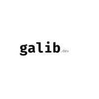 galib.dev logo - Similar company to 2Ra Technology Ltd