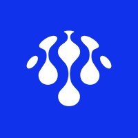 Mentur logo - Similar company to Dataia