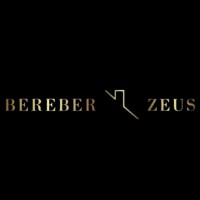 Bereber Zeus S.L. logo - Similar company to Phoenix Hub