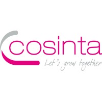 Cosinta Service B.V. logo - Similar company to Anewhere B.V.