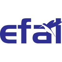 EFAI- Escola De Aviação Civil logo - Similar company to Fly Eagle - Escola De Aviação Civil