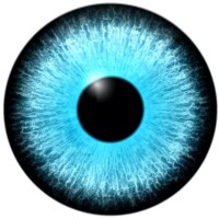 5 Eyes logo - Similar company to Cedato