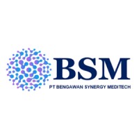 PT Bengawan Synergy Meditech logo - Similar company to Netic Ftui
