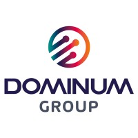 Dominum Group logo - Similar company to Kingstore Peru