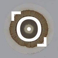 Croma Agro logo - Similar company to Proteher