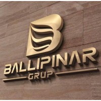 BALLIPINAR PETROL GIDA İNŞ. TİC. ve SAN. LTD. ŞTİ. logo - Similar company to Ballıpınar Grup