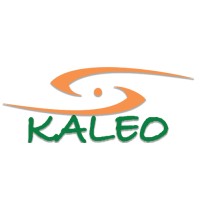 Kaleo Marketing logo - Similar company to Beyond Japan