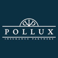 Pollux Insurance Partners logo - Similar company to Maideasy Gmbh