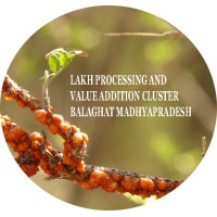 LAKH PROCESSING AND VALUE  ADDITION  CLUSTER BALAGHAT  MADHYAPRADESH logo - Similar company to Balaghat Tv