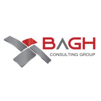 Bagh Consulting Group logo - Similar company to Itw Technology México