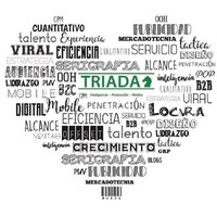 TRIADA REPRESENTACION DE MEDIOS logo - Similar company to Triada