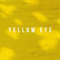 Yellow Eye Spirits logo - Similar company to Lowlow Hard Seltzer