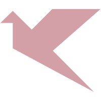 Konure logo - Similar company to Newsoft It