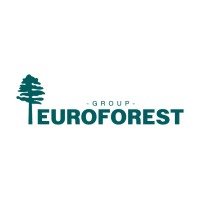 Euroforest Group logo - Similar company to Houtimport Best B.V.