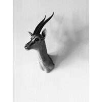 L'Alchimiste Parfums