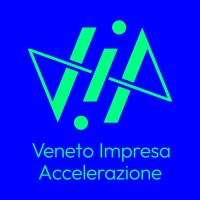 VIA - Veneto Impresa Accelerazione logo - Similar company to Rocking Motion
