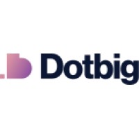DotBig logo - Similar company to Bvision