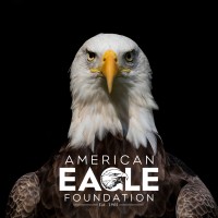 American Eagle Foundation logo - Similar company to Raptor Research Foundation