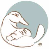 Platypus Media logo - Similar company to Aeon Labs