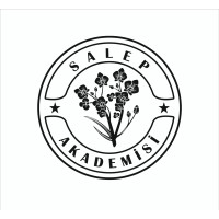 SALEP AKADEMİSİ logo - Similar company to Ai4Ngo