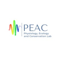 PEAC LAB logo - Similar company to Garnduwa Amboorny Wirnan