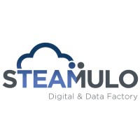 STEAMULO Lyon logo - Similar company to Steamulo