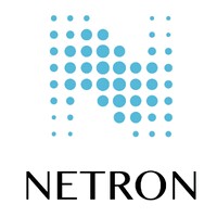 Netron Information Technology logo - Similar company to Netron