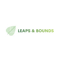 Leaps and Bounds AS logo - Similar company to Sumixx