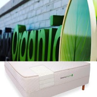 Sleeping Organic logo - Similar company to Vision21 Solutions