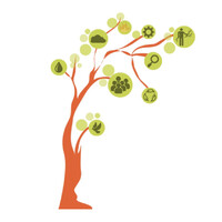 Grupo De Práticas Florestais (Gpflor)