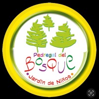 COLEGIO PEDREGAL DEL BOSQUE logo - Similar company to La Fuerza De La Ia (Fia)