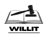 WILLIT logo - Similar company to Blues In Commerce