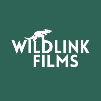 WildLink Films logo - Similar company to Wiselink - Australia