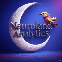 NeuroLand Analytics logo - Similar company to Swazi Host