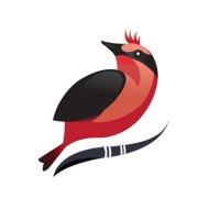 LAS 15 TAREAS DEL DUELO® logo - Similar company to Intelnova