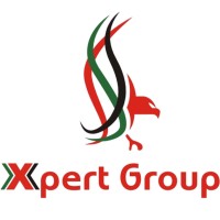 Xpert Group FZE-LLC logo - Similar company to Dorsko
