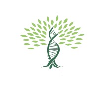 Lukimi 🍀 logo - Similar company to Djo Booking