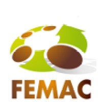 Clúster FEMAC logo - Similar company to Cidafcat - Centre D'Innovació Digital Agroalimentari I Forestal De Catalunya