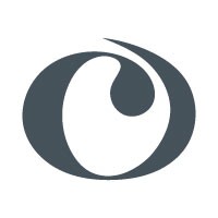 Chapman & Co. Leadership Institute logo - Similar company to Amplifyer