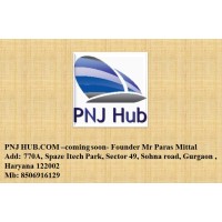 PNJ Professional Network Joint Ltd- United Kingdom logo - Similar company to Topnotch Technology