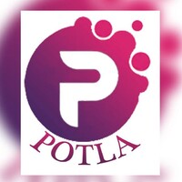 Potla Tech Solutions Pvt. Ltd. logo - Similar company to Infinity World Service