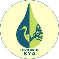 Les Yeux de Kya logo - Similar company to Perspectives Hexagonales